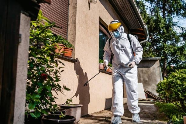Pest Control Services