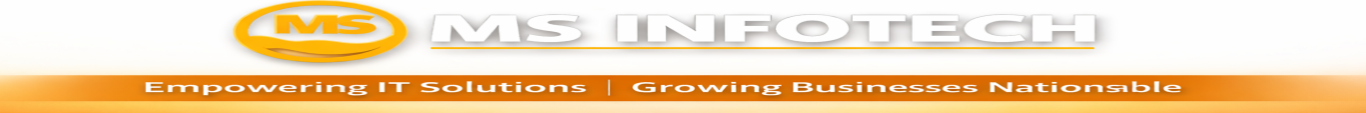 MS INFOTECH