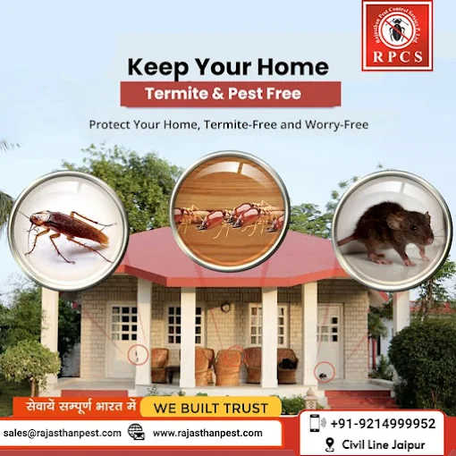 Rajasthan Pest Control Services Pvt Ltd