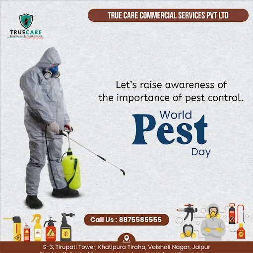 True Care Commercial Services
